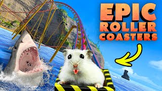 Hamster in Roller Coaster in the Ocean Summertime