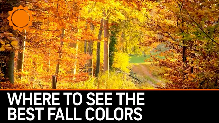 Fall foliage: What parts of the United States could see the most vibrant fall colors this year?