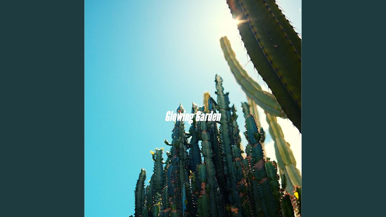 Jazz Quartet Soundtrack for Choosing Clarity