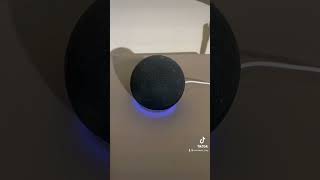 Celebrity Super Alexa Mode Activated Profile