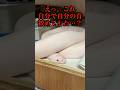 白ヘビが、、、ちんだ⁉︎ #爬虫類 #reptiles #shorts #ヘビ #ボールパイソン #ふじぴこ