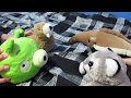 Willy the Walrus Chapter 3- Outpost