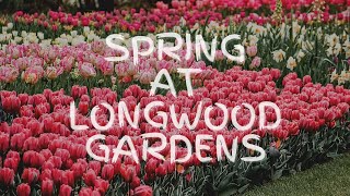 Longwood Gardens | Most Beautiful Garden in Pennsylvania| Spring Blossoms 2021 | Beautiful Tulips