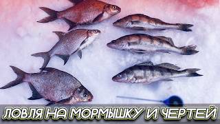 ЗИМНЯЯ РЫБАЛКА В МЕТЕЛЬ/ГЛУХОЗИМЬЕ 2025.