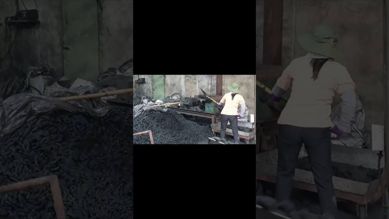 Coconut Charcoal For Shisha, Hookah Vietnam|@Coalvn