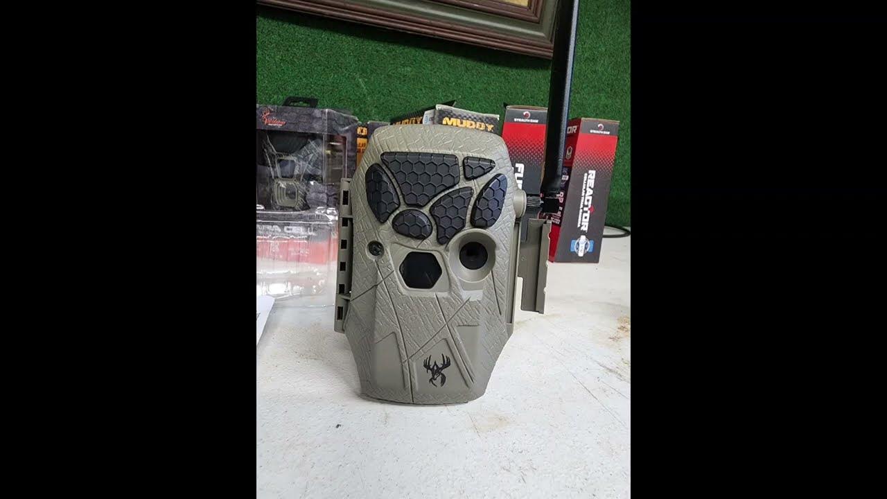 wildgame-innovations-encounter-cellular-game-camera-sample-pics-deer