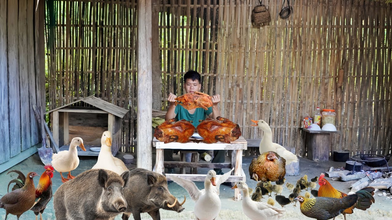 Life alone in the wild, make a dining table, Enjoy duck meat after many days of care, survival alone