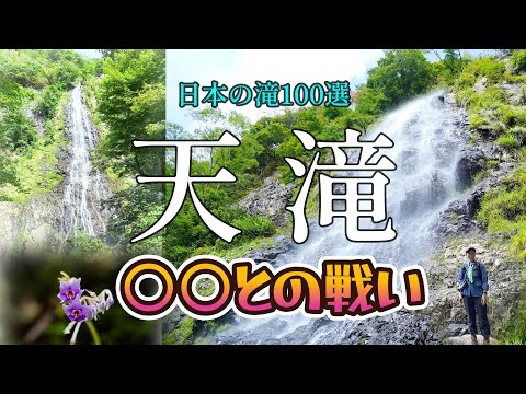【天滝】大迫力!滝の真下まで行ける|落差98m!日本の滝百選…でも〇〇に注意して⚠️絶対に負けられない因縁の戦いがここにある|養父市ハイキング|