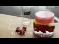 レシピ動画】CCコンテナーであざやかイチゴ酒【ADERIA/CCコンテナー 】