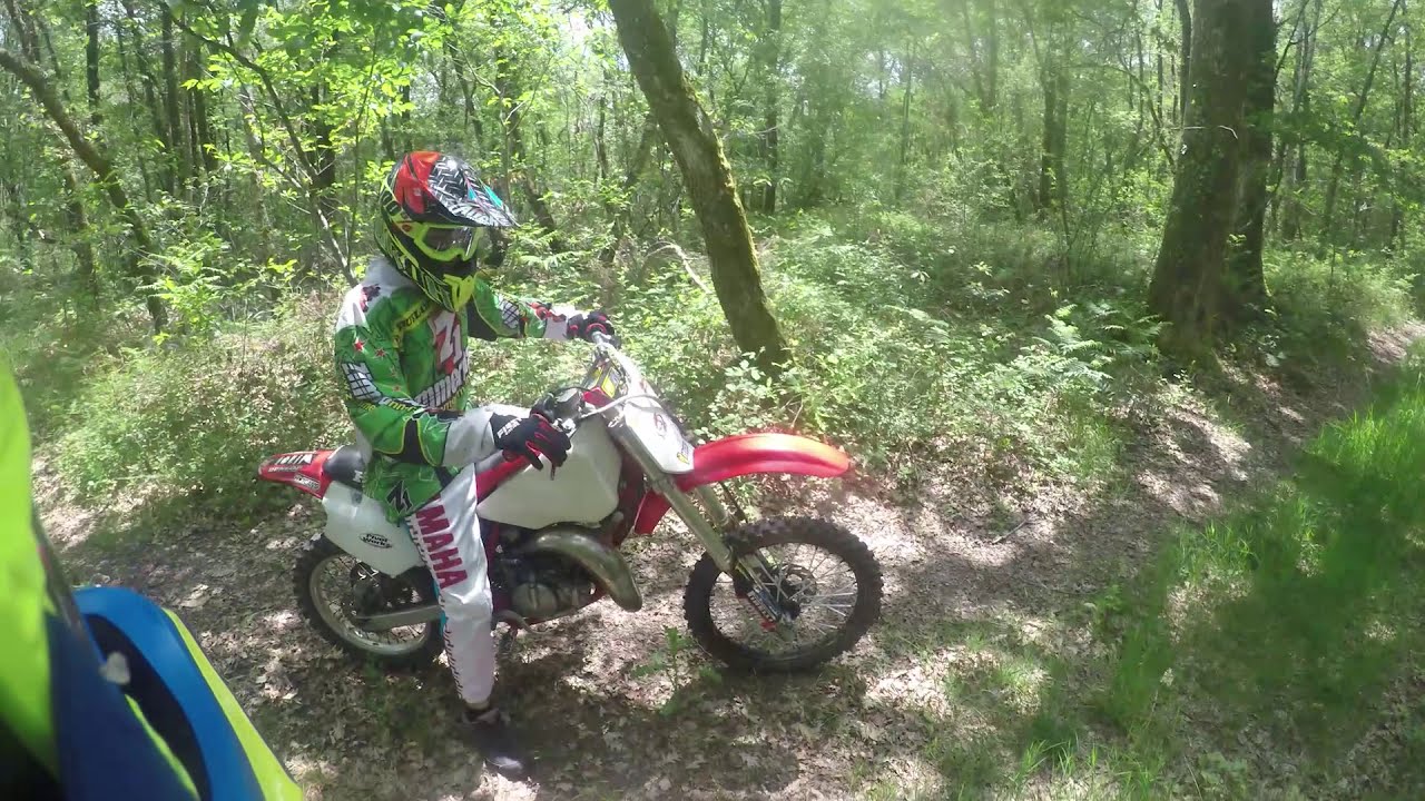 camera iphone 8 plus apk 2 guys in forest this turn good