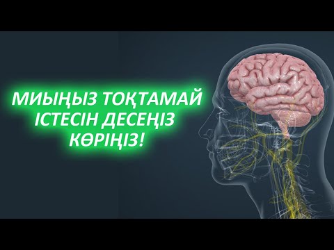 Бейне: Глютамин ағзада қалай жұмыс істейді?