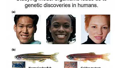 Genetics Chapter 1 PPT Lecture  Introduction