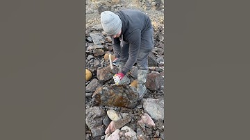 Fossil hunting #sea #beach #yorkshire #fossil #hammer #chisel #crack #split #ammonite