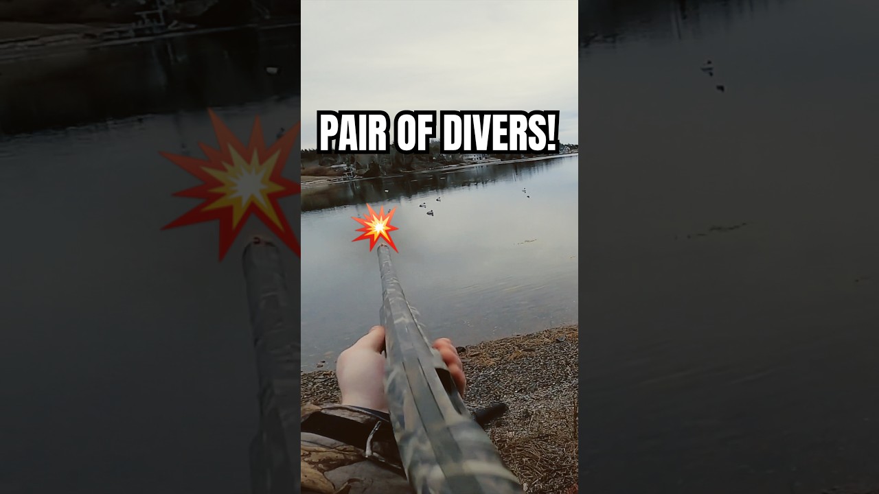 ПАРА НЫРЯДОВЩИКОВ! | ОХОТА НА УТОК | 