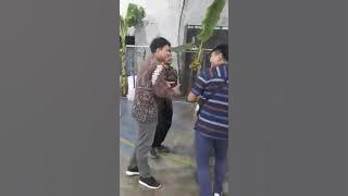 Ikan Dalam Kolam - Sarah Zein -, Suara Gelegar - Keluarga Sorbhan - 2021