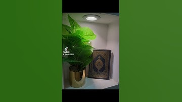تلاوةخاشعة الشيخ انس المالك