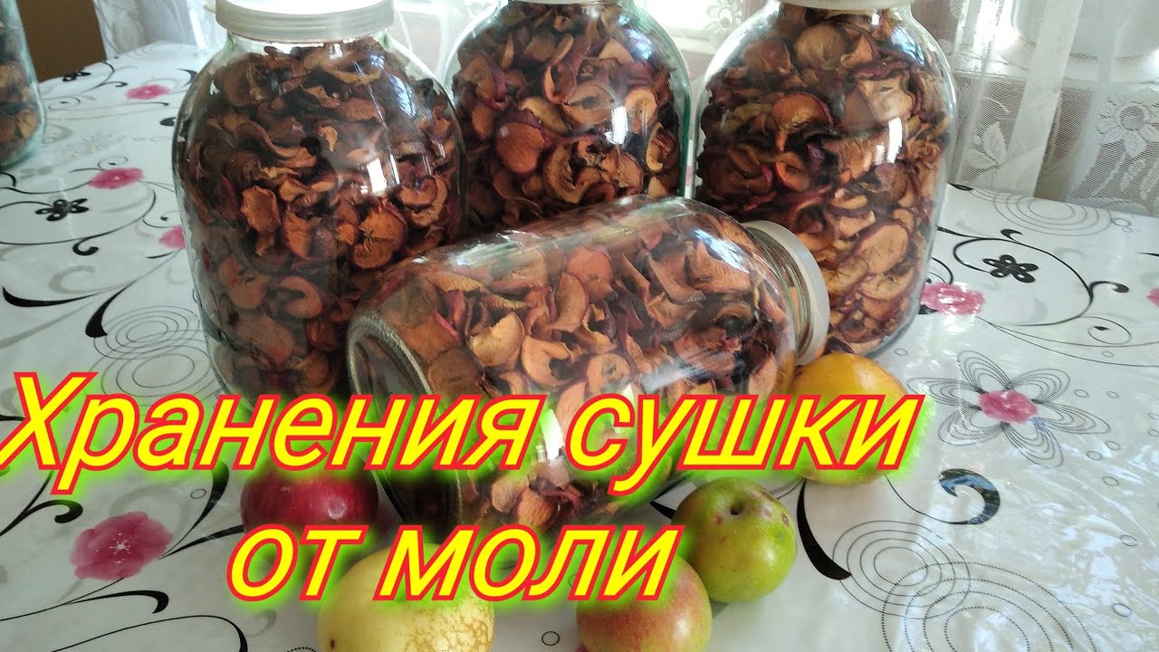 Как хранить сушеные яблоки дома