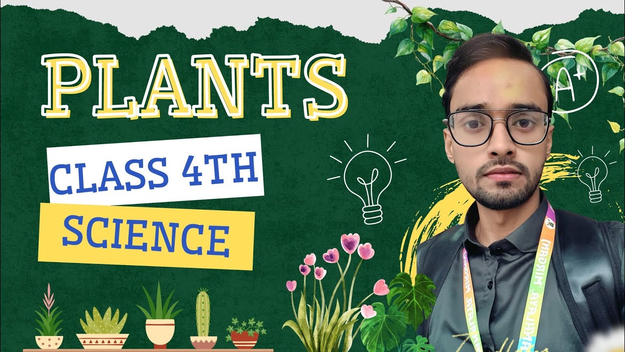 🌱 *Plant Power! 🌼*Class 4 Science | Parts of a Plant 🌱 📚#PartsOfPlants #Class4Science #ScienceFun 