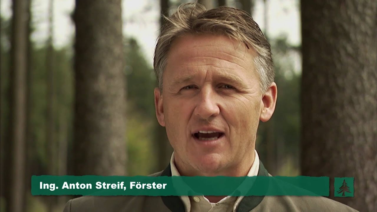 Statement Anton Streif