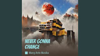 Never Gonna Change