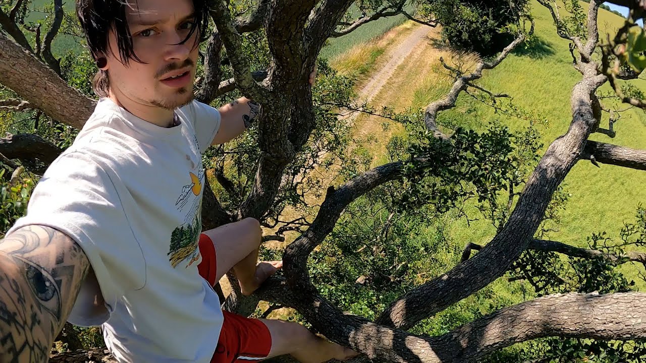 Trying Tree Climbing Barefoot | GoPro Hero 9 Black POV - YouTube