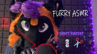 [FURRY ASMR] You Decided to Get a Little Trim 💈✨ (Light Haircut ✂️ & Facial Massage)