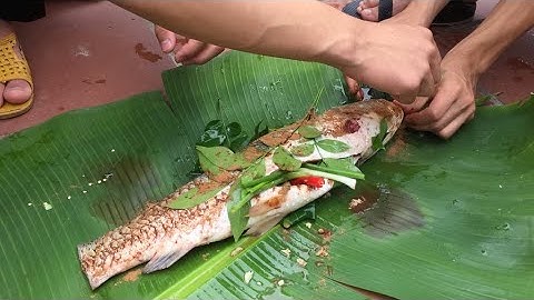 SUN TV | CÁ BỌC GIẤY BẠC NƯỚNG SIÊU CAY (grilled fish super spicy)