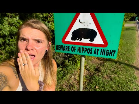 St. Lucia South Africa | The Town Swarmed by HIPPOS