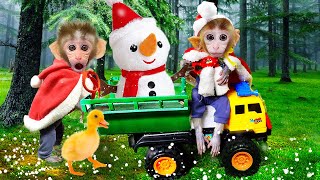 maymun videoları BiBon monkey Merry Christmas Animal Videos 🎄🐒🐶