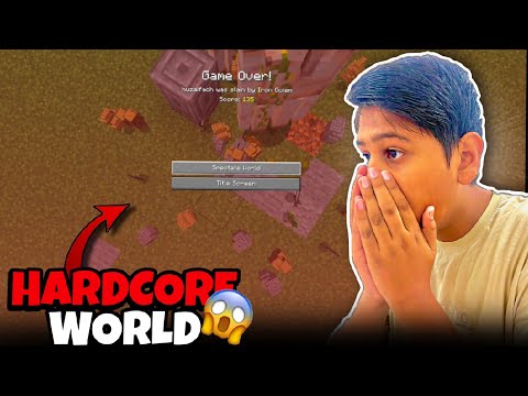 I Lost My Minecraft Hardcore World... 💔