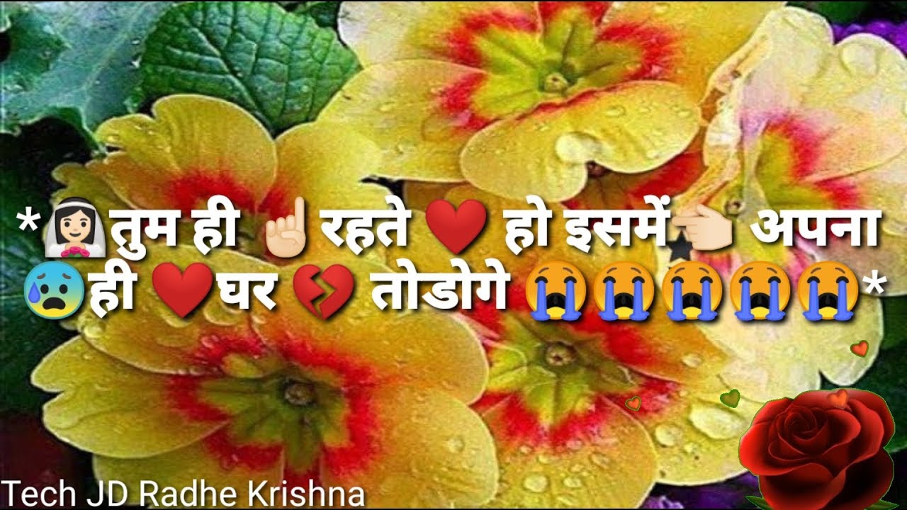 Romantic Love Status Video Song Download Janmakshar Jyotish