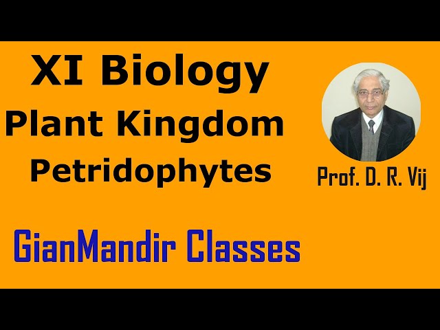 XI Biology | Plant Kingdom| Petridophytes by Taranjeet Sir