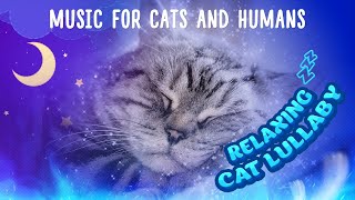 Cat lullaby MUSIC FOR CATS and humans | Relaxing music for cats