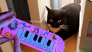 Maxwell The Cat 360° - IN YOUR HOUSE! / 1$ piano tutorial by Five Fingers Enchantress 30,424 views 1 year ago 1 minute, 50 seconds