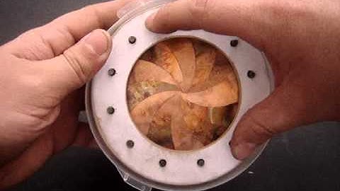 4th Mechanical Iris 12 leaves