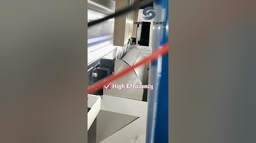 Henning Saint Color Sorter for Grains