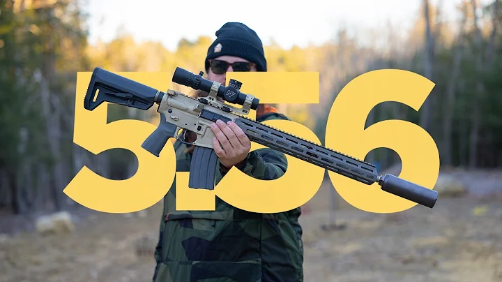 Q  |  What's Q  |  5.56 Sugar Weasel