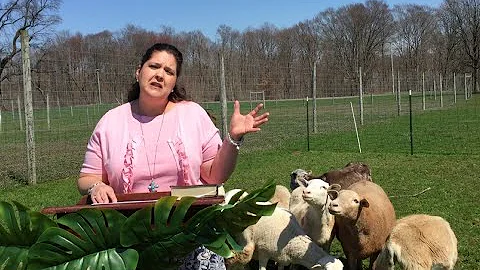 Pastor gathers in her sheep on Palm Sunday!