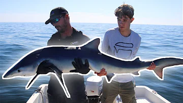 Comment pêcher le requin bleu
