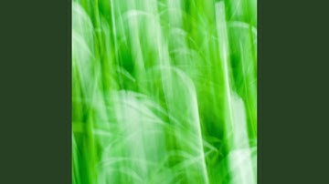 Pulsating Smooth Jazz - Vibe for Relaxing Respect