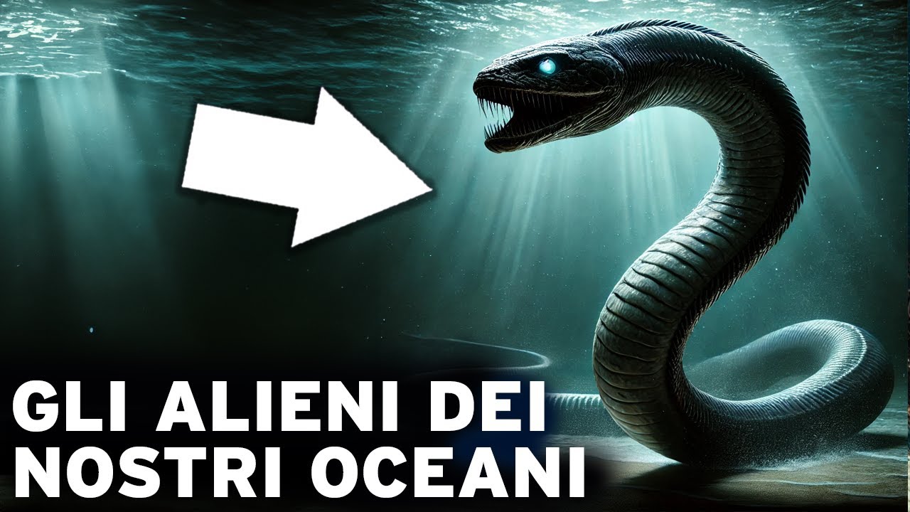 Gli extraterrestri degli abissi: Un viaggio straordinario nei nostri oceani | Documentario animali