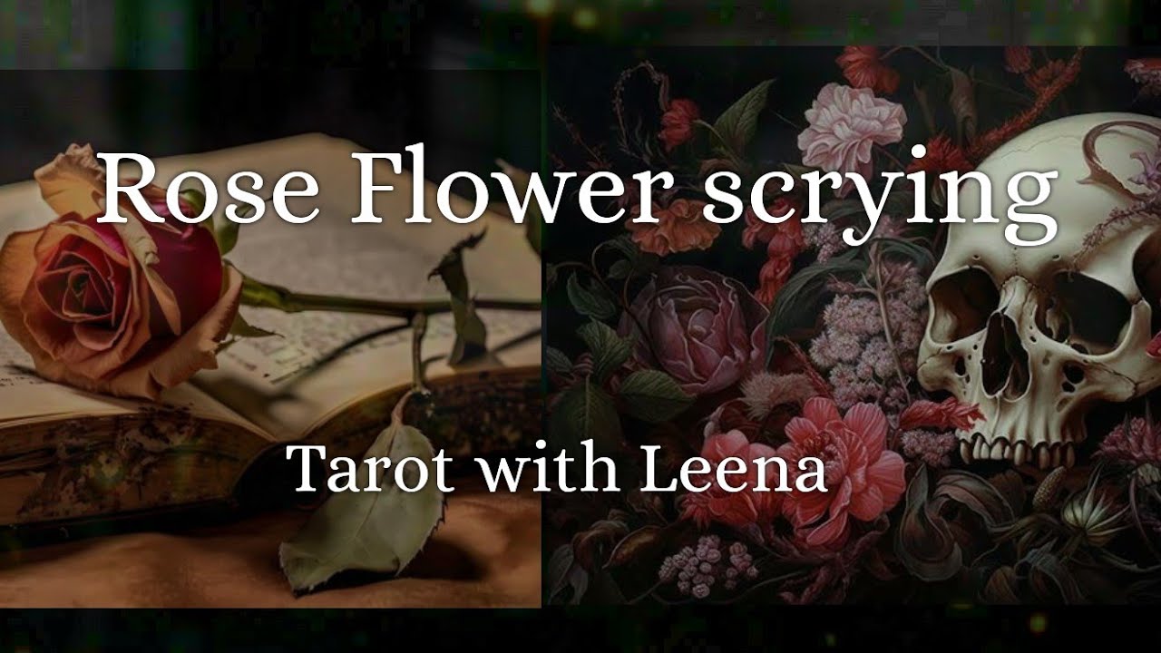 Rose Flower scrying 🌹 || Tarot with Leena