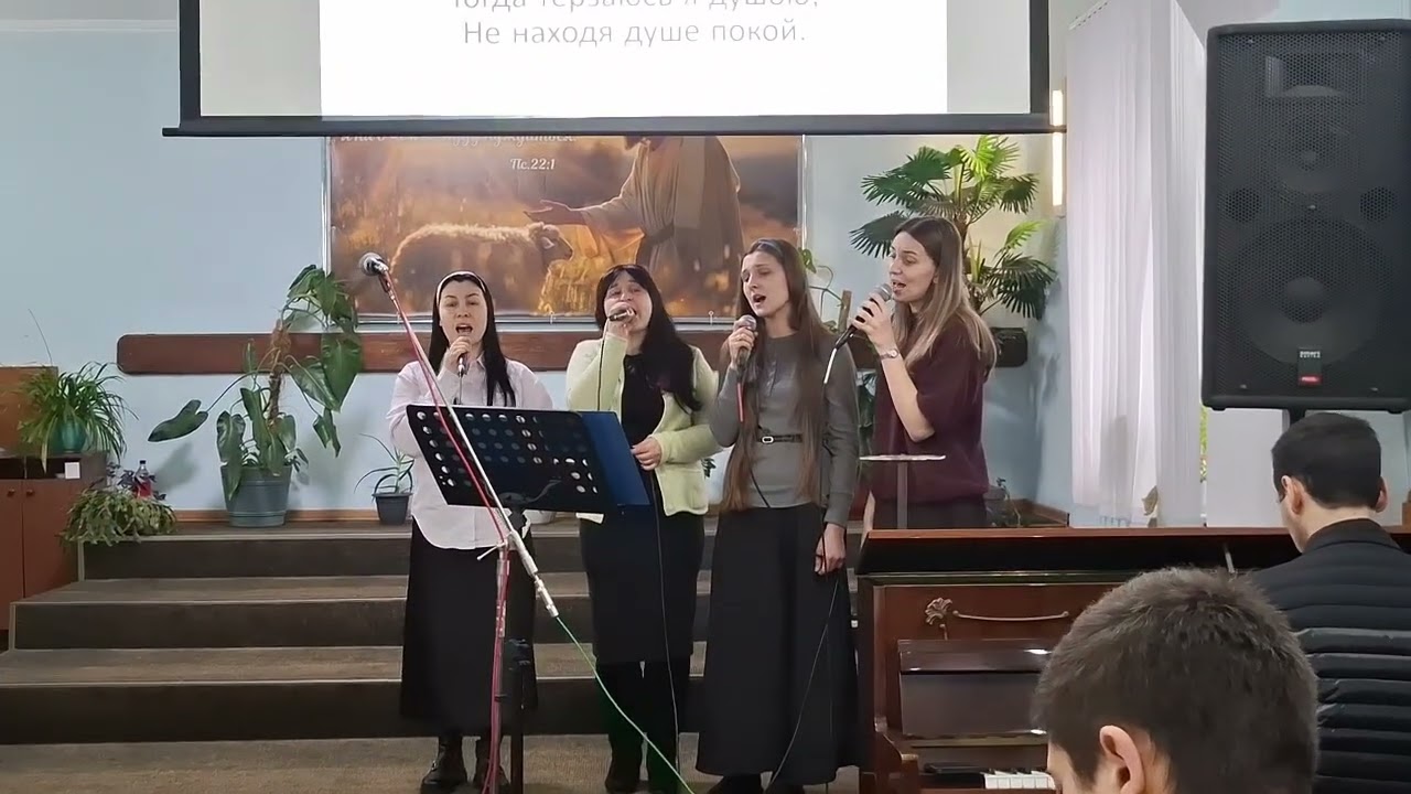 15 февраля 2026 г.