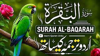 Surah Al-Baqarah سورة البقرة | Full Urdu & Hindi Translation Beautiful Quran Recitation Ismail Nori