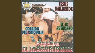 El Muchacho y el Potro