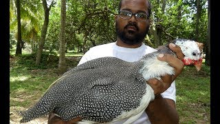 Indian Dotted Hen Curry by 102 Year Grandma | Andhra Seema Kodi Curry | Country Chicken