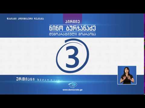 ნინო ბურჯანაძე-დემოკრატიული მოძრაობა