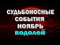 ВОДОЛЕЙ ✨ ВАЖНЫЙ РАЗГОВОР ✨ НОЯБРЬ. Таро прогноз гороскоп гадание