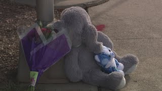 Driver charged for killing a student in January in Loudon County