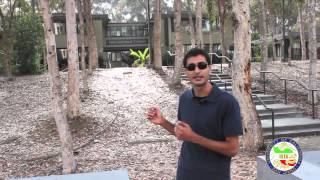 Ista Ucsd - Getting Started International Center